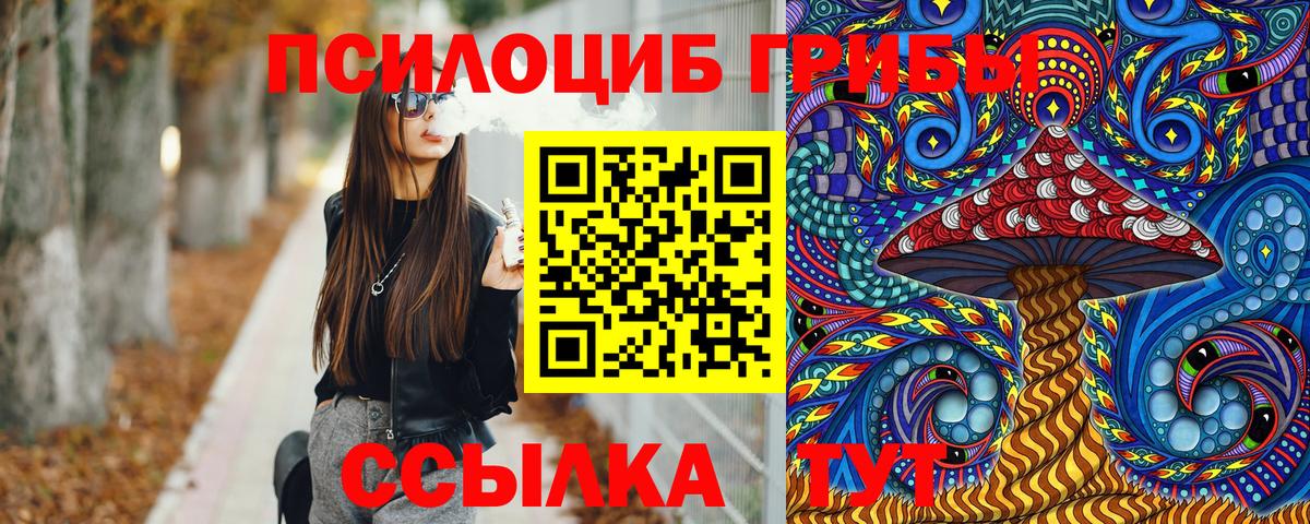 Псилоцибиновые грибы Psilocybe Углич